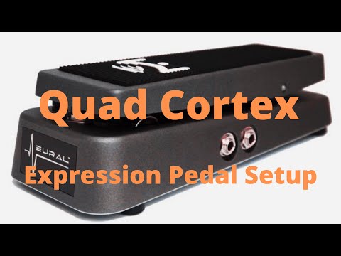 Mission Engineering SP1-ND Expression Pedal for NeuralDSP Quad Cortex with Toe Switch Grey Metallic