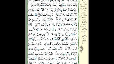 الصفحة (51) من المصحف الشريف " سورة آل عمران - مشروع حفظ القرآن الكريم "