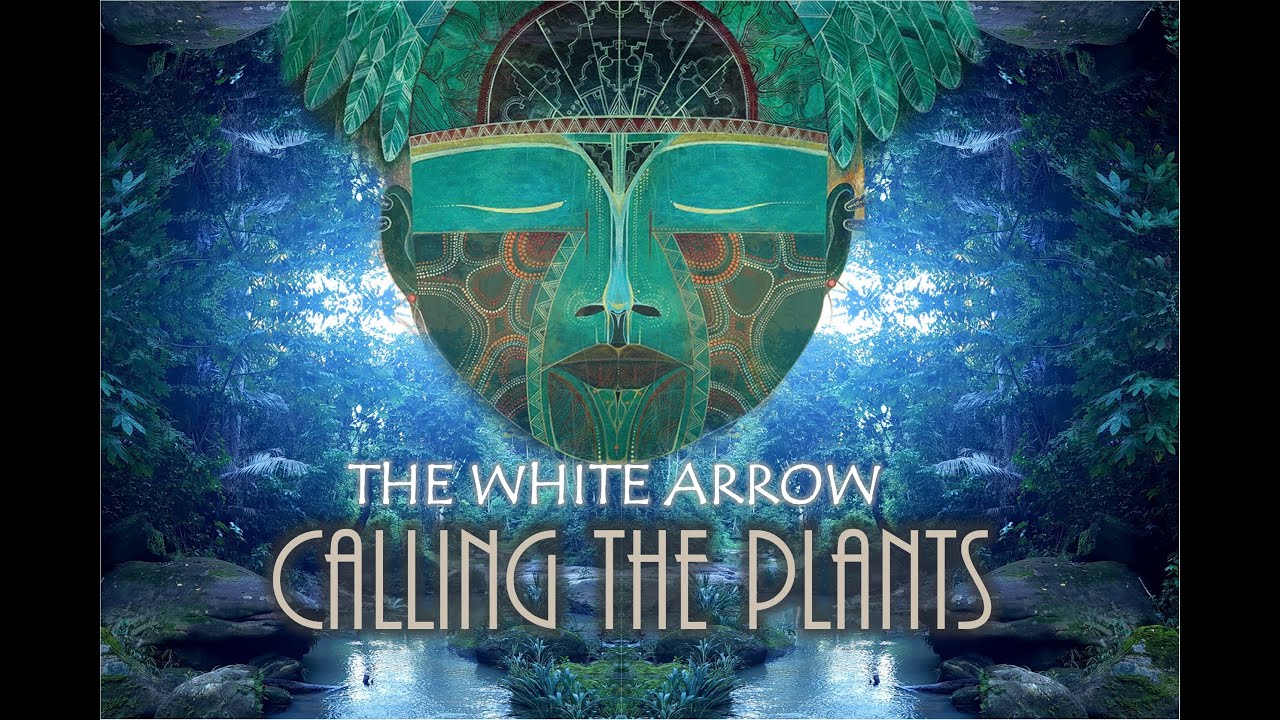 Tonton Calling the plants - The White Arrow di YouTube Tonton Calling the plants - The White Arrow di YouTube