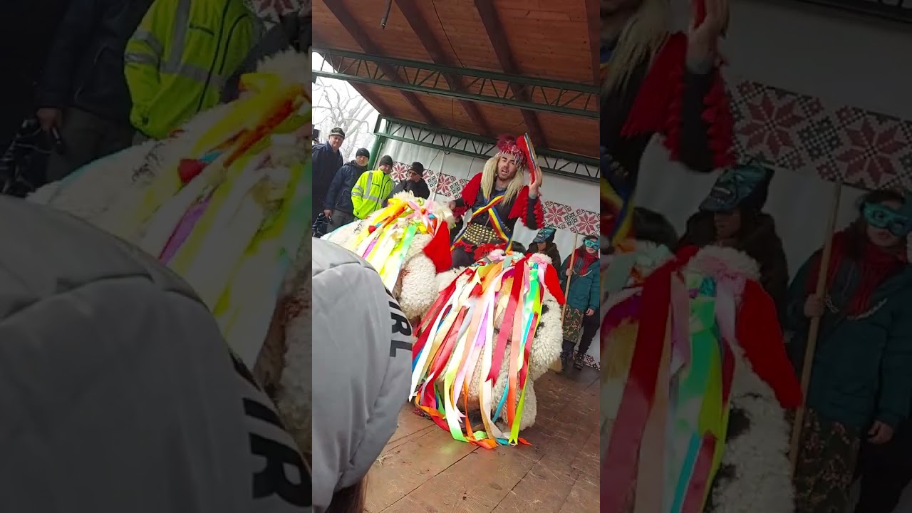 Capra de la Țibănești tradiții și obiceiuri 2024 An nou fericit să aveți!