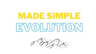 made simple: EVOLUTION