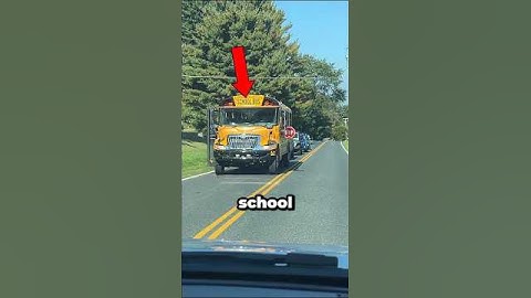 Why School Bus Are Yellow? 🤔