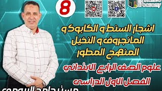 كل أنواع الأشجار بالمنهج السنط والمانجروف والكابوك والنخيل مع مستر حامد البيومى بكل بساطة