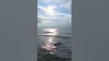 That Nostalgic Feeling Waves Intotheblue Beach 