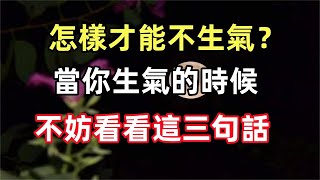 禪意合集怎樣才能不生氣當你生氣的時候不妨看看這三句話非常有效