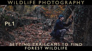 Camera trapping - Part 1 - Setting trailcams to find wildlife in a forest