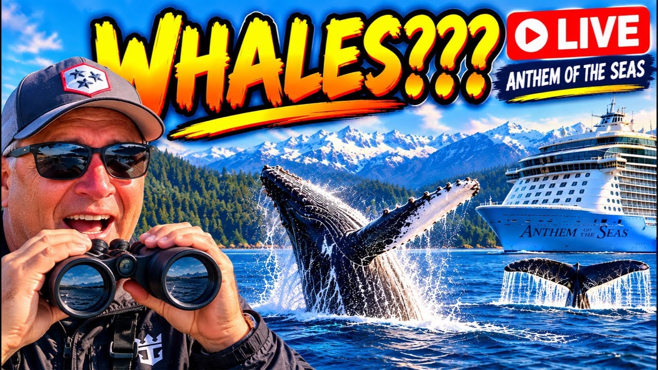LIVE: Will We See Whales? Cruising the Strait of Juan de Fuca | Anthem of the Seas
