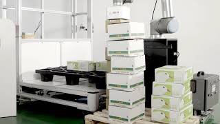 Depalletizing Cardboard Packages Using AI | AccuPick