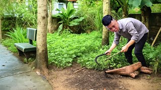 CEO Trieu Khang Cleaned the Garden and Found a Dog in an Abandoned House