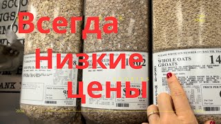 картинка: Шоппинг для кур #куры #хозяйствоназаднемдворе 