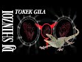 DJ MIXTAPE TOKEK GILA -OM TOKEK OM REMIX -By'Bang NOOX -By'DJ SHINZOI