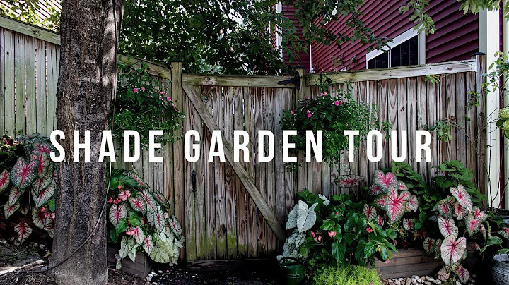 Shade Garden Tour