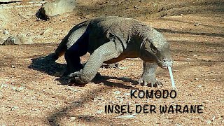 Komodo Indonesien, Insel der Drachen