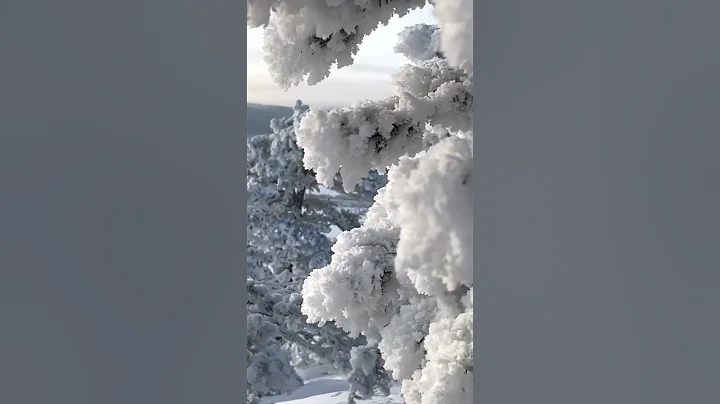 Winter wonderland in Lapland ❄️ ☃️ #Finland #BucketList #Explore #Shorts