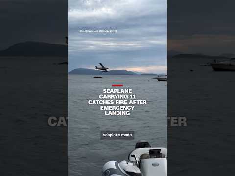 Seaplane carrying 11 catches fire after emergency landing