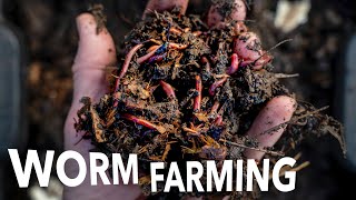 Vermicompost and Worm Breeding at Any Scale || Arizona Worm Farm