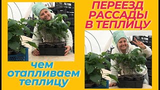 Началась Весна / Переезд Рассады В Теплицу / Отопление В Теплице Простейшее Эффективное