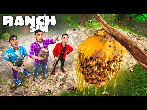 Видео: АРАЛАР ҰЯСЫН ТАУЫП АЛДЫҚ және БАЛ САТУ БИЗНЕС БАСТАДЫҚ! RANCH SIMULATOR