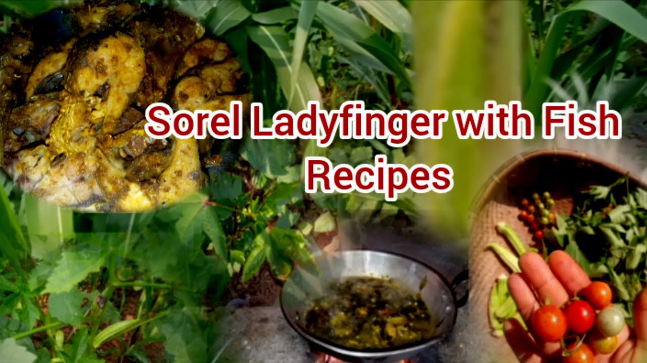 Sorrel Ladyfinger with Fish Recipes Galda dorai Natok Garo