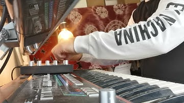 Roland JX3P PG200 - Palace of the renegade