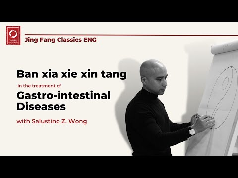 Ban xia xie xin tang in the treatment of gastrointestinal diseases by Salustino Z. Wong