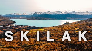 The Best Fall Colors on the Kenai Peninsula | Skilak Lake Area [S1E27]