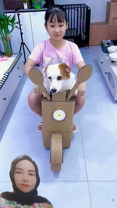 #funny #woodwork #dog #viral #shortvideo #duet #ekmotahathighumechala
