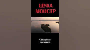 САМАЯ БОЛЬШАЯ ЩУКА в России #щука #рекорд #рыбалка #shorts