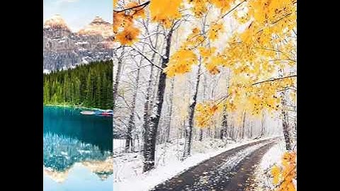 الله يبسط الرزق لمن يشاء | سورة العنكبوت | عبدالرحمن مسعد