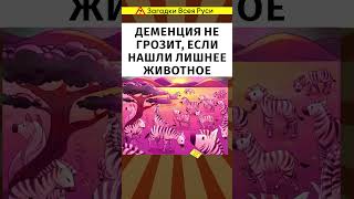 Деменция Не Страшна, Если Нашли Лишнее Животное