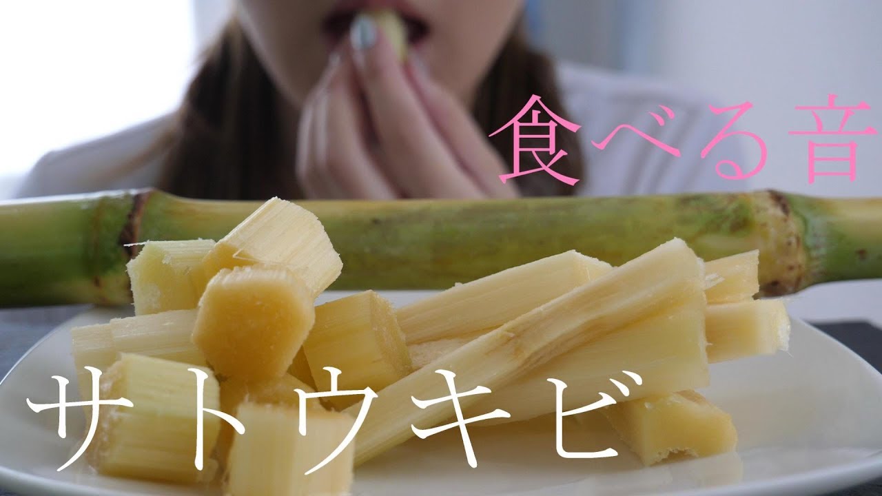 咀嚼音 ボツ動画 サトウキビを食べる音 Eating Sound Youtube