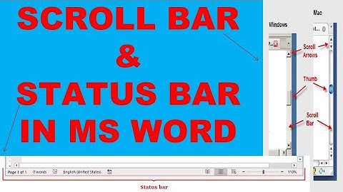 Scroll Bar & Status Bar in MS Word