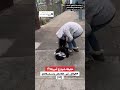 شوارع أمريكا شوارع أمريكا