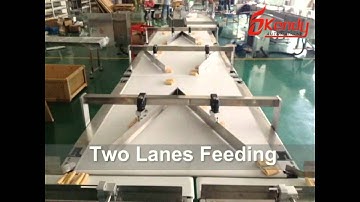 Egg roll tray packaged automatic feeding and packing system