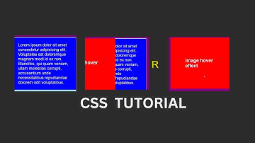 css image hover effect ||html css tutorial