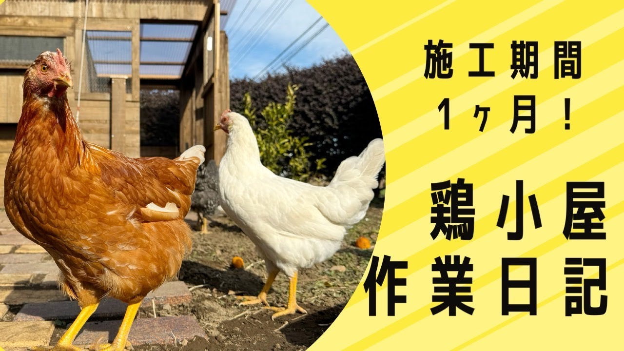 にわとり】鶏小屋を作りました！| PUKAPUKALAND - YouTube