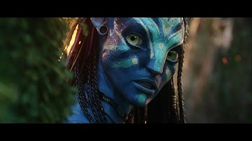 《予告編》　アバター