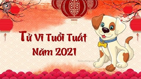 Tử Vi Tuổi Tuất năm 2021 - Tuyết Khuyển Chi Tình