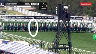 Without A Fight - 2023 Melbourne Cup HD Replay