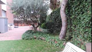 DSCN2716