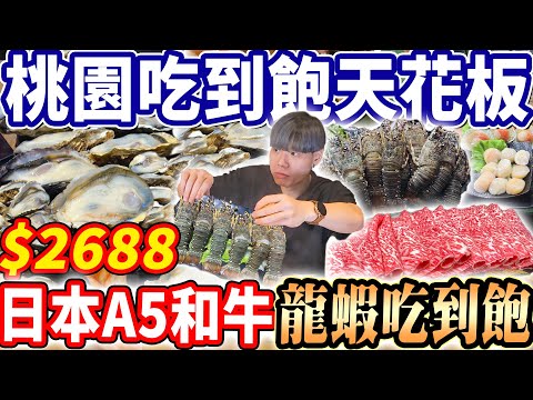 【桃園最強龍蝦吃到飽天花板】$2688最貴火鍋Buffet吃到飽！爽吃龍蝦生蠔A5和牛！2024桃園吃到飽！大胃王｜TaiwanHotPot｜吃播mukbang｜桃園｜Eating show｜大食い