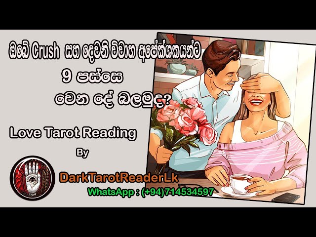 ඔබේ Crush එක සහ දෙවනි විවාහ අපේක්ශකයන්ට 9 පස්සෙ වෙන දේ බලමුද? |Sinhala|#tarotcardreadingsinhala class=