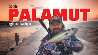 Spi̇nle Palamut Avi Eğlence Başliyor