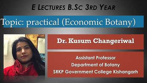 B sc lll practical  Economic Botany