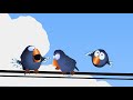 More the Birds