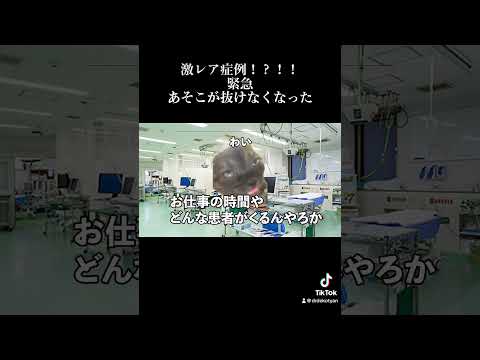 【猫ミーム】医学会が揺れる！？あそこが抜けなくなった特異事例　#vtuber #大学病院 #猫ミーム #病院 #お薬 #医療 #保護猫 #病棟