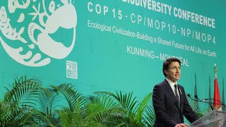 Coup d'envoi de la COP15, le sommet de la 