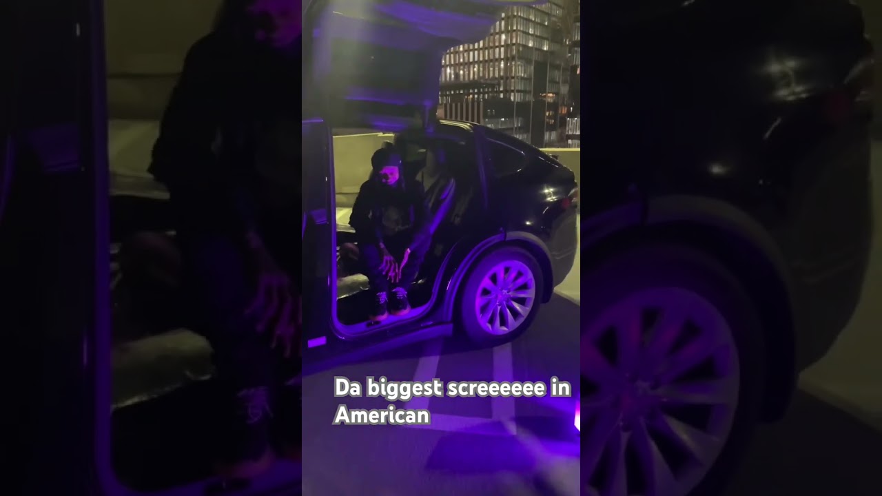 Chuckybaby gamo seen shooting video in a ￼ tesla