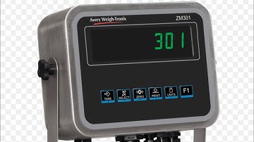 Reprogramming the tare key to function on a Weightronix ZM301