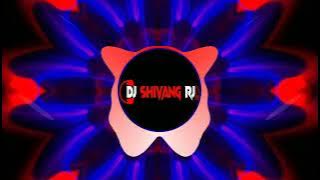 Tari Hari Nana Tor mith boli_remix song //cg dj song by DJ nagesh rjn